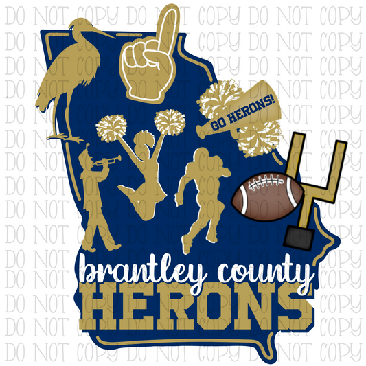 Brantley County Herons School Sports Team