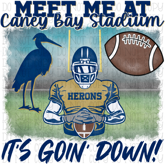 Brantley County Herons School Sports Team - Meet Me at Caney Bay Stadium - It's Goin' Down