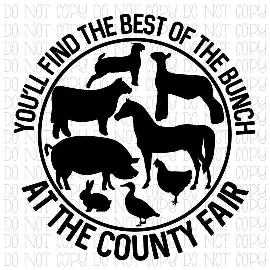 You'll Find the Best of the Bunch at the County Fair