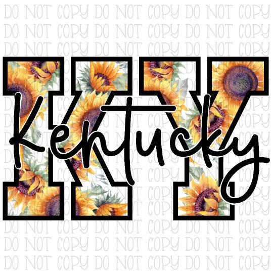 Kentucky - KY - Sunflowers