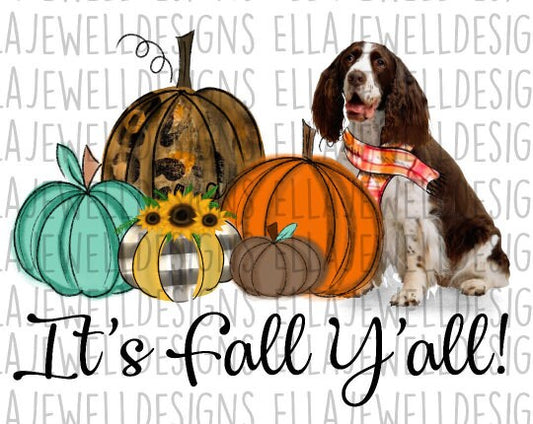 It's Fall Y'all - Springer Spaniel