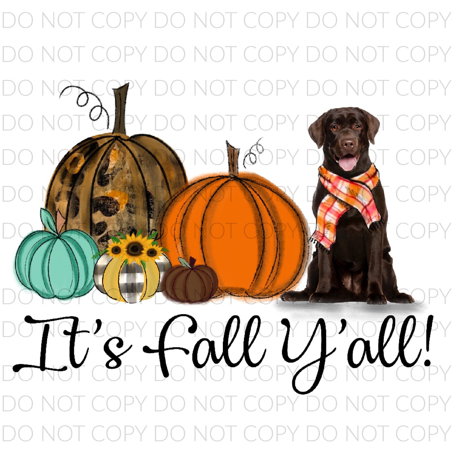 It's Fall Y'all - Chocolate Lab