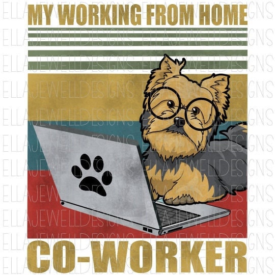 My Work From Home Co-Worker - Yorkie